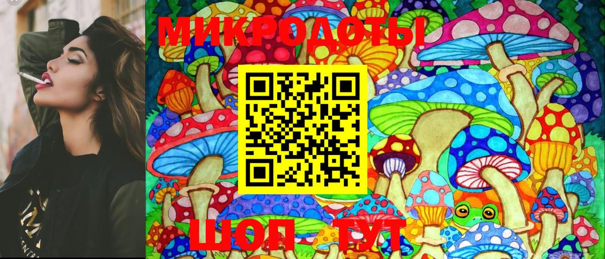 Коммунар  Галлюциногенные грибы Psilocybe  что такое   Вход с VPN 
