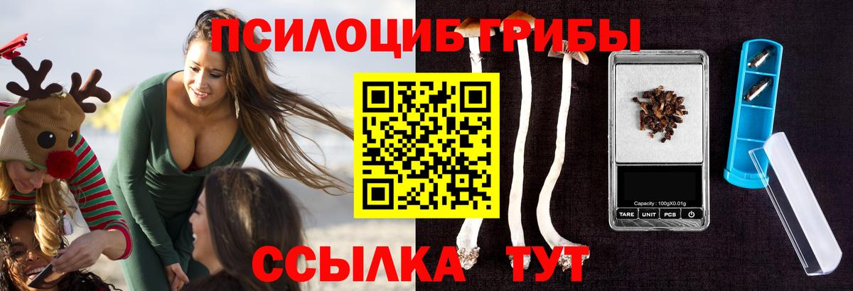 Галлюциногенные грибы MAGIC MUSHROOMS Коммунар